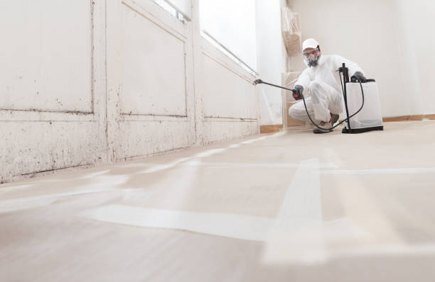 24/7 Emergency Attic Mold Remediation experts in Morrisville, NY